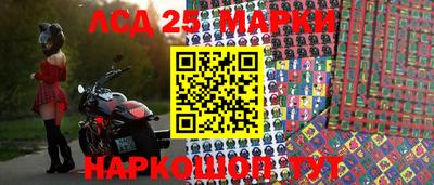 шишки Ставрополь