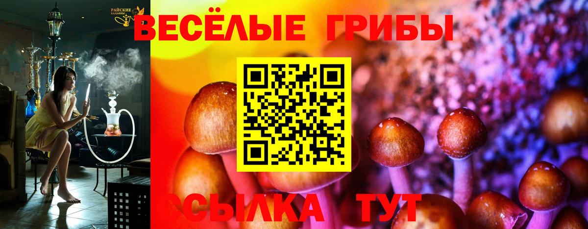 Прохладный  Псилоцибиновые грибы ЛСД  Вход с VPN 