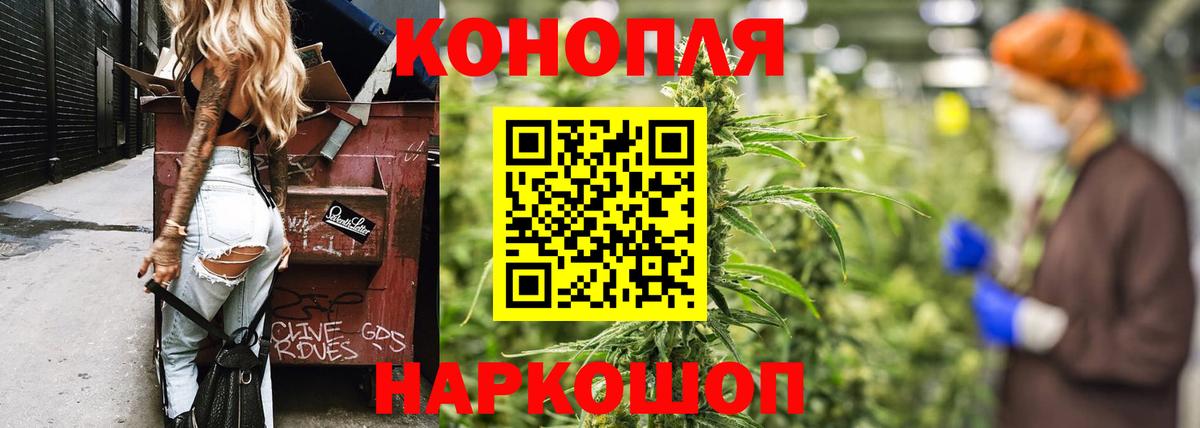 Бошки Шишки Amnesia  Конопля OG Kush  Вход с VPN  Прохладный  Каннабис THC 21% 